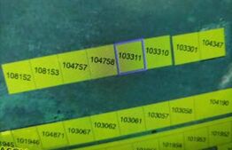 Teren Extravilan , parcelat, 500 mp posibilitate trecere in intravilan