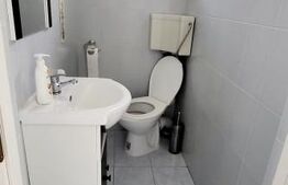 Spatiu comercial de inchiriat, 96 mp+50 mp gradina, 3 parcari, zona Ioan Rus