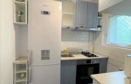 Garsoniera cocheta, 24 mp, balcon, zona strazii Rasaritului 