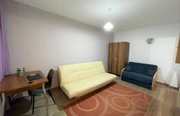 Garsoniera cocheta, 24 mp, balcon, zona strazii Rasaritului 