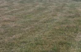 Teren 3 parcele intravilan , langa padure zona pitoreasca utilitati front