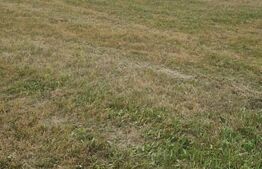 Teren 3 parcele intravilan , langa padure zona pitoreasca utilitati front