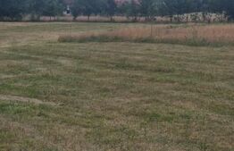 Teren 3 parcele intravilan , langa padure zona pitoreasca utilitati front