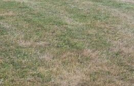 Teren 3 parcele intravilan , langa padure zona pitoreasca utilitati front