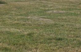 Teren 3 parcele intravilan , langa padure zona pitoreasca utilitati front