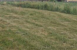 Teren 3 parcele intravilan , langa padure zona pitoreasca utilitati front