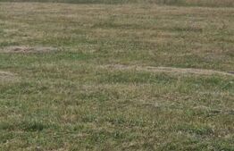 Teren 3 parcele intravilan , langa padure zona pitoreasca utilitati front