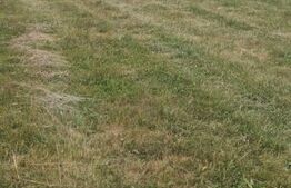 Teren 3 parcele intravilan , langa padure zona pitoreasca utilitati front