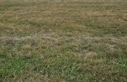 Teren 3 parcele intravilan , langa padure zona pitoreasca utilitati front