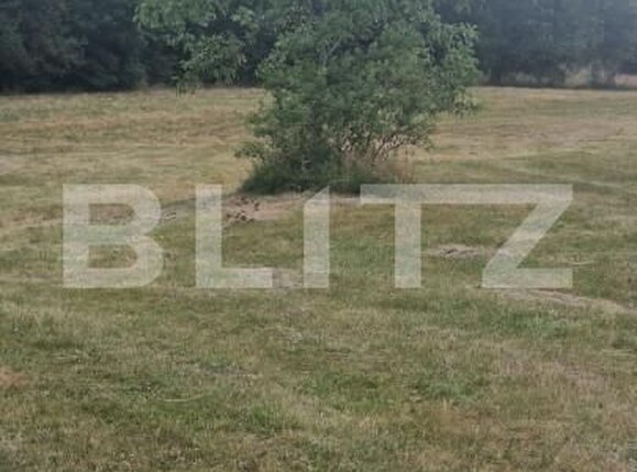Teren de vânzare Est - 154151TV | BLITZ Brașov | Poza10