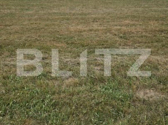 Teren de vânzare Est - 154151TV | BLITZ Brașov | Poza9