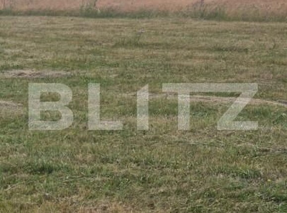 Teren de vânzare Est - 154151TV | BLITZ Brașov | Poza5