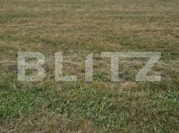 Teren de vânzare Est - 154151TV | BLITZ Brașov | Poza3