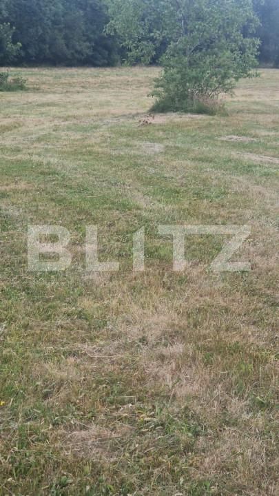 Teren de vânzare Est - 154151TV | BLITZ Brașov | Poza8