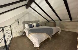 | Apartament de tip Loft | Schei | Terasa + view panoramic |