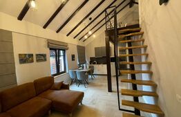 | Apartament de tip Loft | Schei | Terasa + view panoramic |