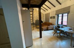 | Apartament de tip Loft | Schei | Terasa + view panoramic |