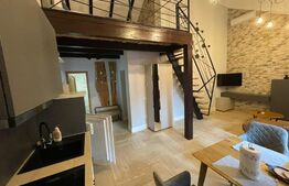 | Apartament de tip Loft | Schei | Terasa + view panoramic |