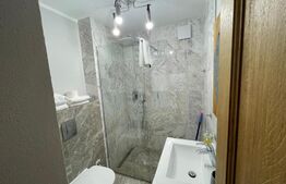 | Apartament de tip Loft | Schei | Curte + view panoramic |
