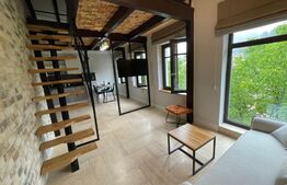 | Apartament de tip Loft | Schei | Curte + view panoramic |