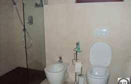 2 camere, 65 mp, bloc nou, mobilat modern, zona strazii Mircea Eliade