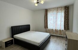 Apartament 2 camere, modern, 55 mp, zona Tauti 