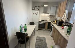 Apartament cu 2 camere, et intermediar, orientare Sud zona Eremia Grigorescu 
