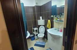 Apartament cochet cu 2 camere zona Donath Park