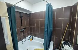 Apartament cochet cu 2 camere zona Donath Park