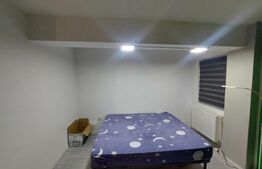 Apartament cochet cu 2 camere zona Donath Park