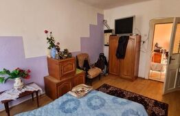 Casa alipita, 37 mp, pivnita, 82 mp de teren, zona Salii Polivalente