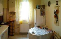 Vanzare apartament 1 camera, 43 mp, gradina, decomandat, zona Real