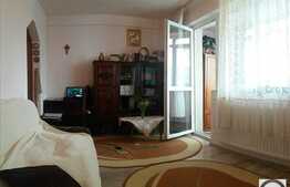 Vanzare apartament 1 camera, 43 mp, gradina, decomandat, zona Real