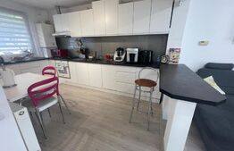 Exclusivitate ! Duplex finisat si mobilat, 100 mp , 150 teren, zona Somesului 