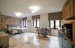 | Apartament tip studio | Schei | Curte comuna |