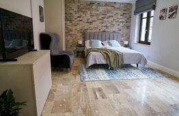 | Apartament tip studio | Schei | Curte comuna |