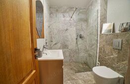 | Apartament tip studio | Schei | Curte comuna |