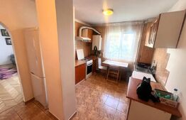 Apartament 2 camere, orientare sudica, etaj intermediar, zona C-tin Brancusi