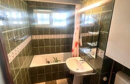 Apartament 2 camere, orientare sudica, etaj intermediar, zona C-tin Brancusi