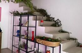 Oportunitate - Casa in Tohanita-293 mp utili-destinatie casa de vacanta/Pensiune