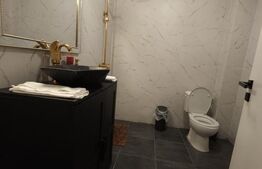 Oportunitate - Casa in Tohanita-293 mp utili-destinatie casa de vacanta/Pensiune