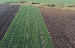 Oportunitate, teren agricol, 80.000 mp