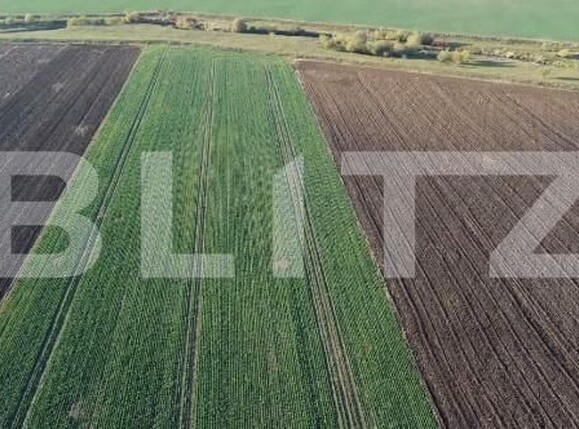 Teren de vânzare Exterior Vest - 154361TV | BLITZ Brașov | Poza1