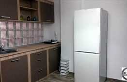 2 camere, decomandat, 45 mp, imobil nou, mobilat modern, demisol, zona Plopilor