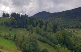 Teren 13.570 mp, Moieciu Pestera