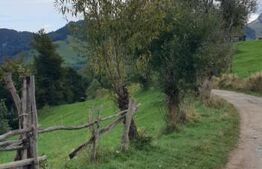 Teren 13.570 mp, Moieciu Pestera