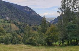 Teren 13.570 mp, Moieciu Pestera