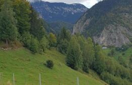 Teren 13.570 mp, Moieciu Pestera