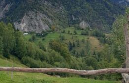 Teren 13.570 mp, Moieciu Pestera