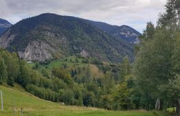 Teren 13.570 mp, Moieciu Pestera